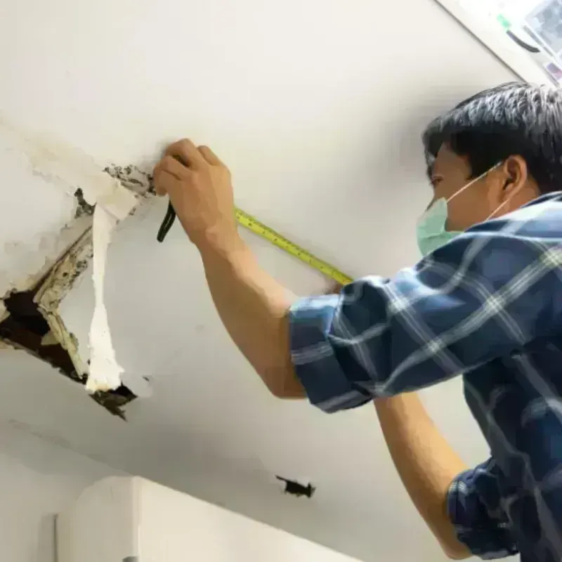 Ceiling And Wall Water Damage in Pearl City, HI